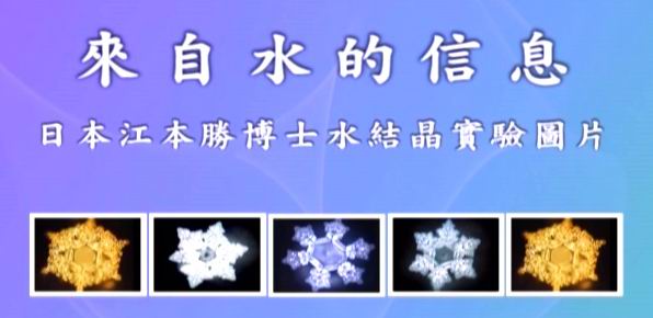 ˮ֪����